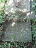 image of grave number 339771